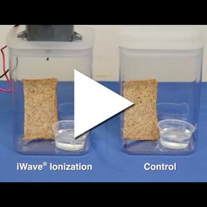 iWave Commercial Video